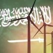shutterstock_saudiarabia_renewables_mar12.jpg