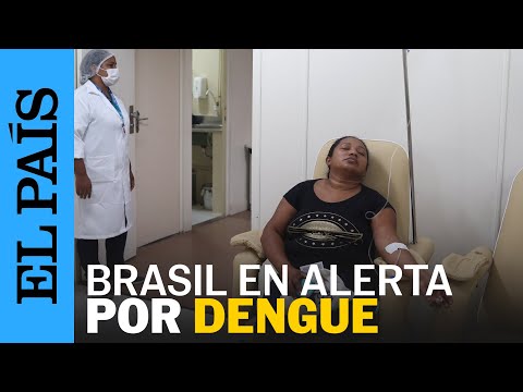 BRASIL | Epidemia de dengue enciende alertas en Río de Janeiro | EL PAÍS