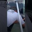WATCH: Dubai Police Rescue Cat Clinging To Car Door | Subscribe to Firstpost