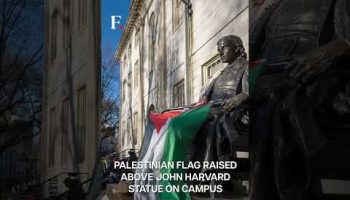 US: Harvard University Protesters Hoist Palestinian Flag on Campus | Subscribe to Firstpost